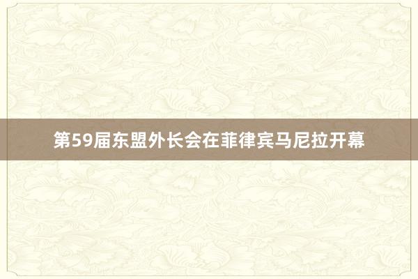 第59届东盟外长会在菲律宾马尼拉开幕