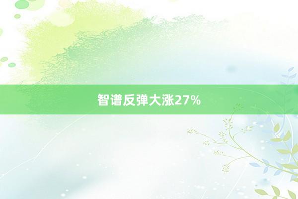智谱反弹大涨27%